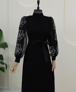 Stand Collar Organza Sleeve Stone Detailed Dress -Black